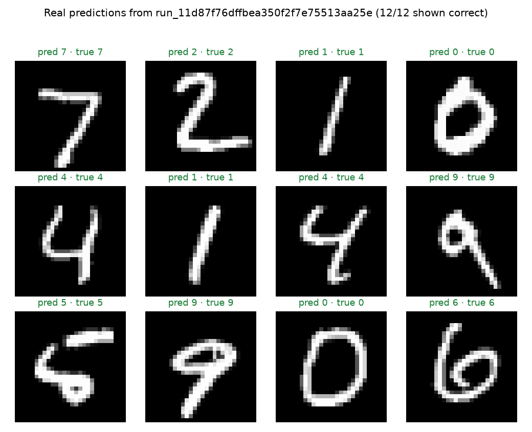 Twelve MNIST test digits with the trained model's predicted label and the true label for each, all shown correct